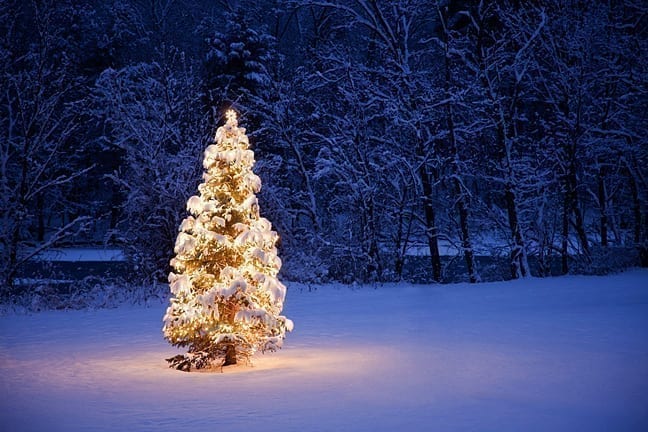 What’s Your Most Beautiful Christmas Tree? | YouBeauty